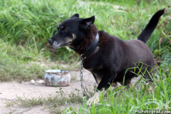 phoca_thumb_l_IMG_9314_resize
