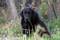 phoca_thumb_l_IMG_9327_resize