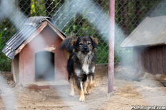 phoca_thumb_l_IMG_9349_resize