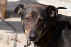 phoca_thumb_l_IMG_9362_resize