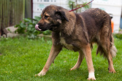 phoca_thumb_l_IMG_8726_resize