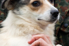phoca_thumb_l_IMG_8762_resize