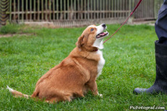 phoca_thumb_l_IMG_8858_resize
