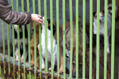 phoca_thumb_l_IMG_8904_resize