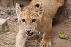 phoca_thumb_l_IMG_9458_resize