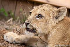 phoca_thumb_l_IMG_9476_resize