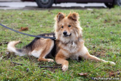 phoca_thumb_l_IMG_2742_resize