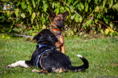 IMG_4337_1200